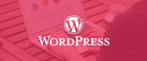Do Web Developers use WordPress