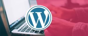 How-much-web-space-do-I-need-for-a-WordPress-Site-1