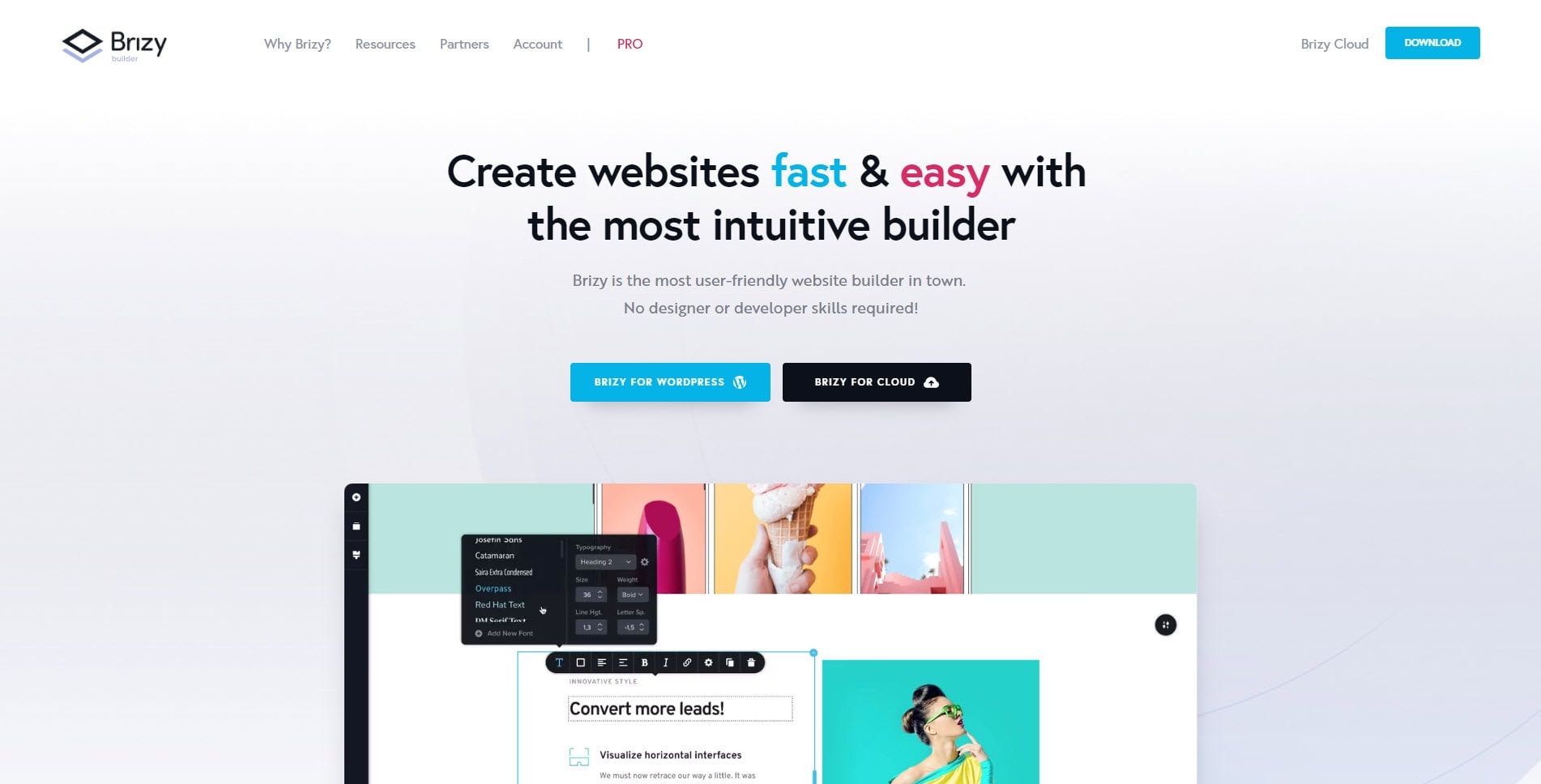 brizy-homepage