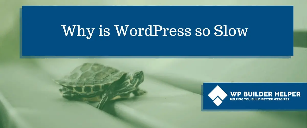 Why is WordPress so Slow